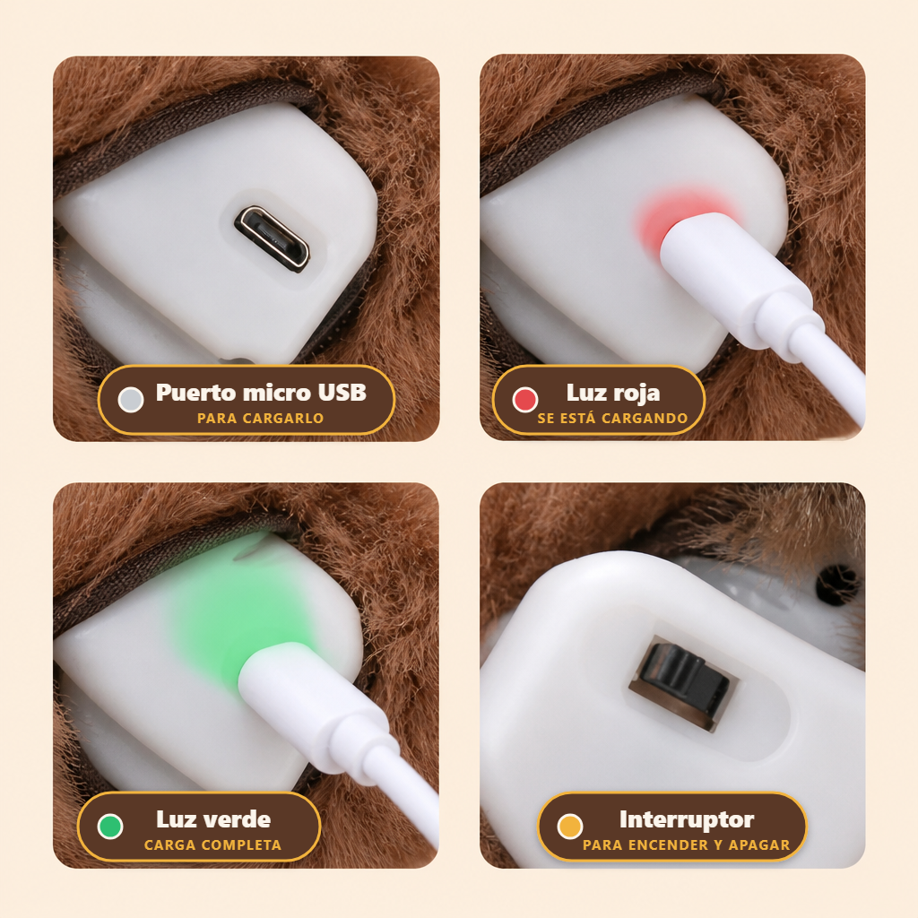 Módulo del pajarito: puerto micro USB para cargarlo, luz roja cargando, luz verde carga completa e interruptor de encendido