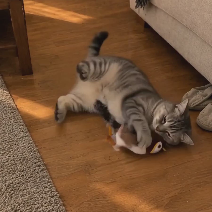Vídeo recreado con IA: gato tumbado abrazando el pajarito mientras aletea
